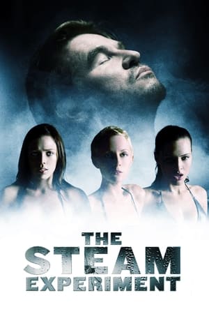 The Steam Experiment (2009)