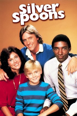 Silver Spoons (1982-1987)