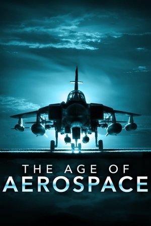 The Age of Aerospace (2016 )