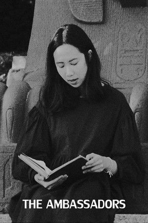 The Ambassadors (2018)