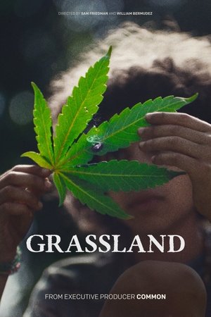 Grassland (2024)