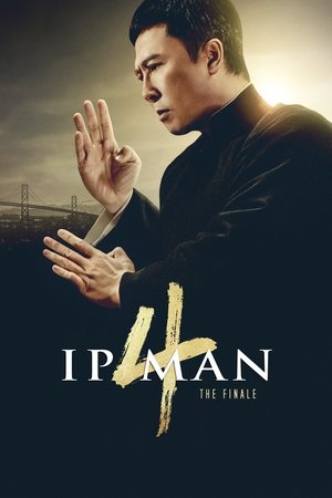 Yip Man 4 (2019)