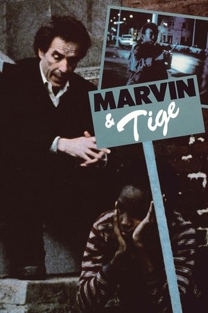 Marvin Tige (1983)