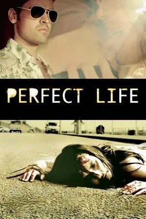 Perfect Life (2010)