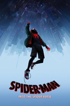 SpiderMan: Into the SpiderVerse (2018)