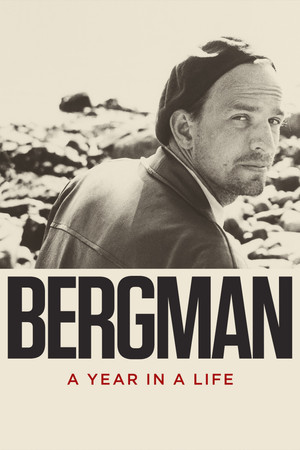 Bergman A Year in a Life (2018)