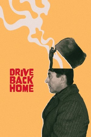 Drive Back Home (2024)