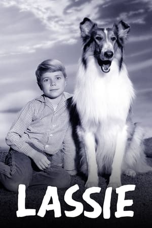 Lassie (1954-1974)