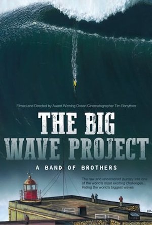 The Big Wave Project (2017)