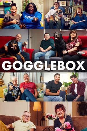 Gogglebox (2013–)