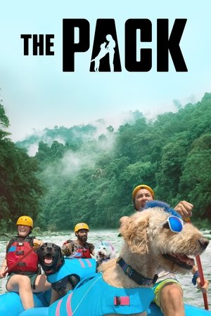 The Pack (2020 )