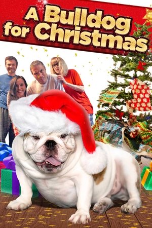 A Bulldog for Christmas (2013)