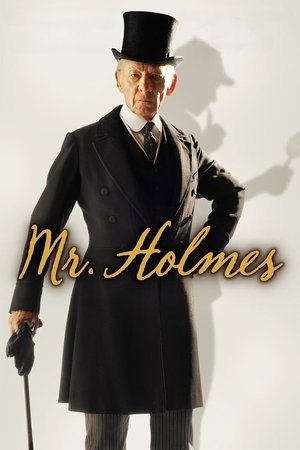 Mr Holmes (2015)
