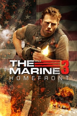 The Marine 3 Homefront 2013