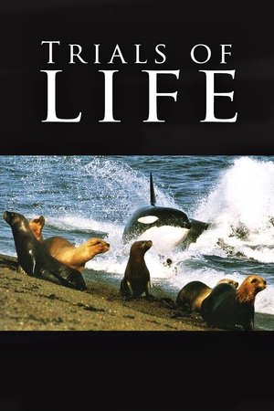 The Trials of Life (1990 )