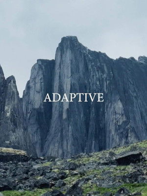 Adaptive (2019)