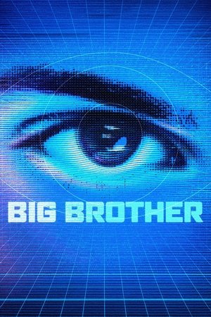 Big Brother (2001-2022)