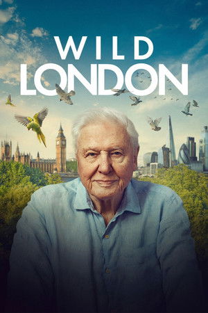 Wild London (2026)