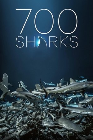700 requins dans la nuit (2018)