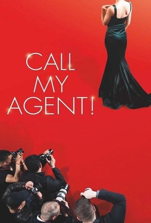 Call My Agent (2015-2020)