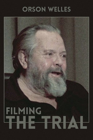 Filming the Trial (1981)