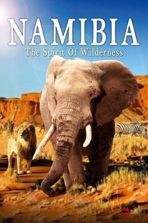 Namibia The Spirit of Wilderness (2016)