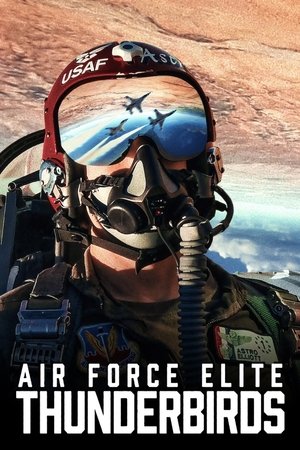 Air Force Elite Thunderbirds (2025)