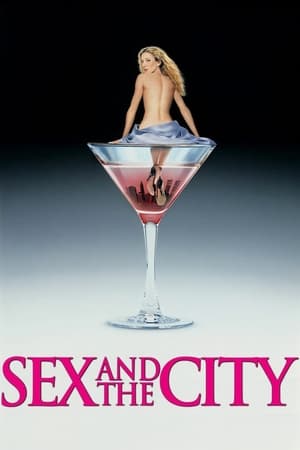 Sex and the City (TV Series 1998 2004)