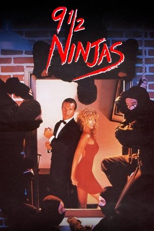 9 12 Ninjas (1991)