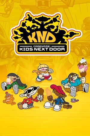 Codename: Kids Next Door (20022008)