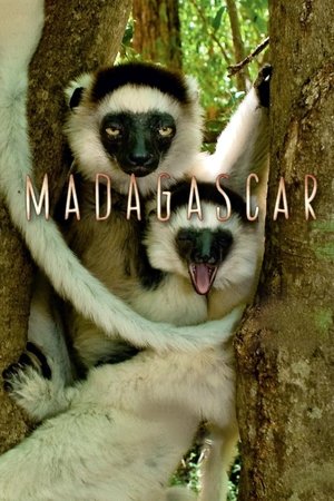 Madagascar (2011 )