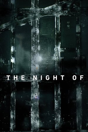 The Night Of (TV Series 2016)