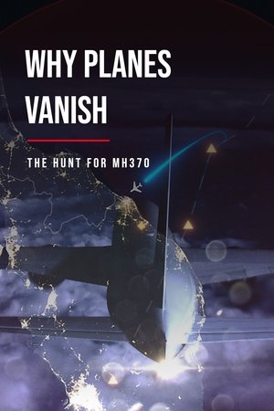 Why Planes Vanish The Hunt for MH370 (2024)