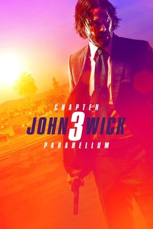 John Wick: Chapter 3 Parabellum (2019)