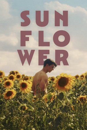 Sunflower (2023)