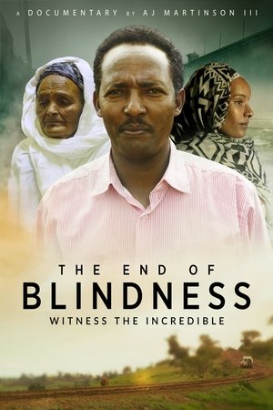 The End of Blindness (2021) Poster