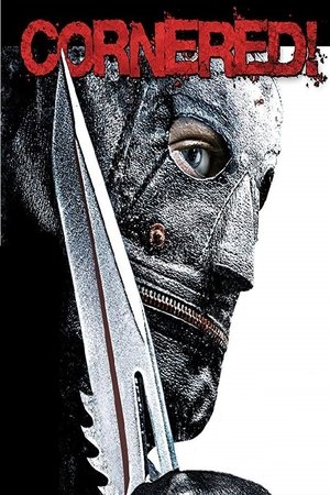 Cornered! (2009)