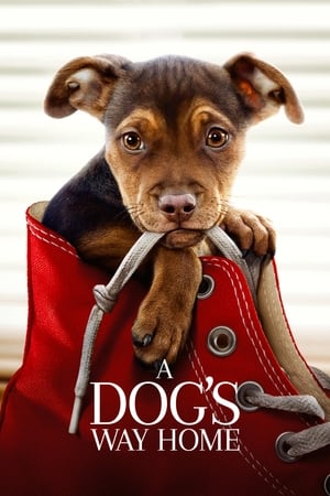 A Dogs Way Home (2019)
