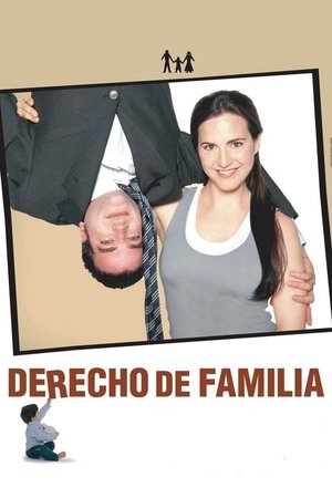Family Law (2006)