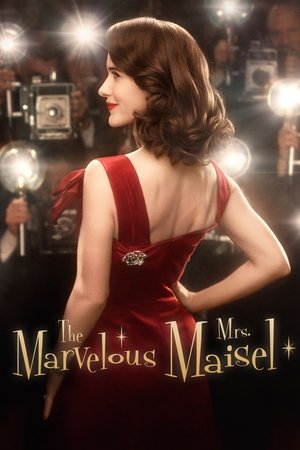 The Marvelous Mrs. Maisel (2017 )