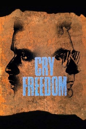 Cry Freedom (1987)