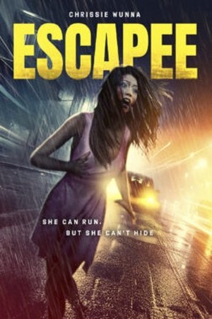The Escapee (2023)