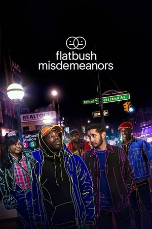 Flatbush Misdemeanors (2021 )