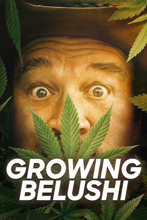 Growing Belushi (2020-)