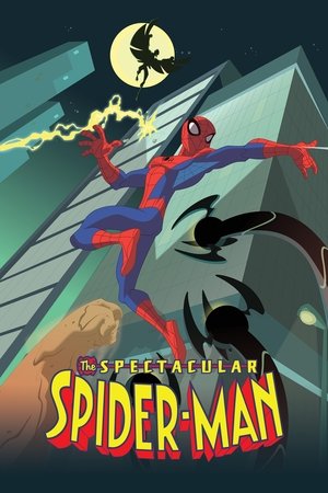 The Spectacular SpiderMan (20082009)