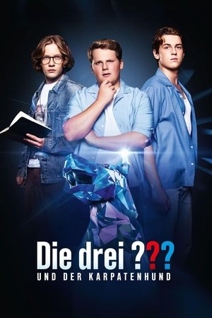 Die drei und der Karpatenhund (2025)
