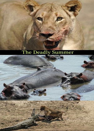 Deadly Summer (2006)