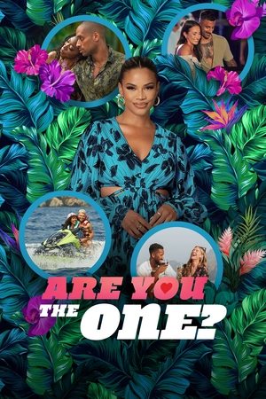 Are You the One? (2014 )