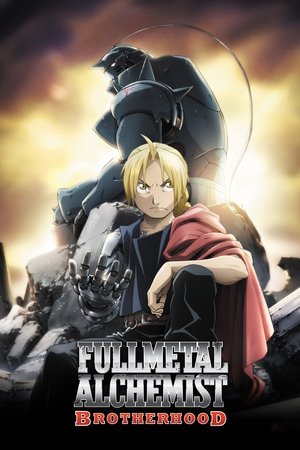 Fullmetal Alchemist: Brotherhood (20092012)