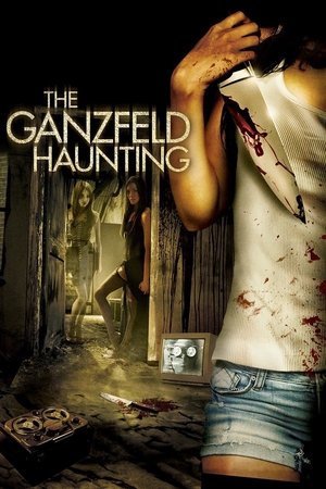 The Ganzfeld Haunting (2016)